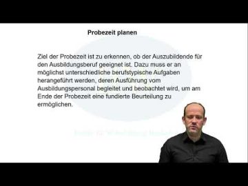 Probezeit organisieren, gestalten und bewerten