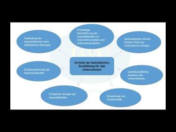 1 1 Vorteile betrieblicher Ausbildung darstellen